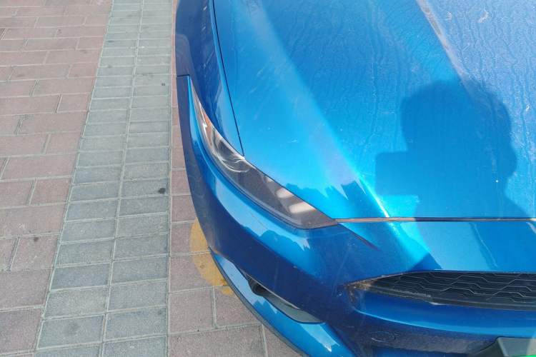 Used Ford Mustang 2017 2.3T Performance Edition