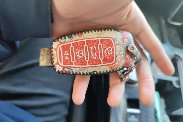 Used Haval DARGO 2021 1.5T DCT Two-Wheel Drive Border Collie Edition
