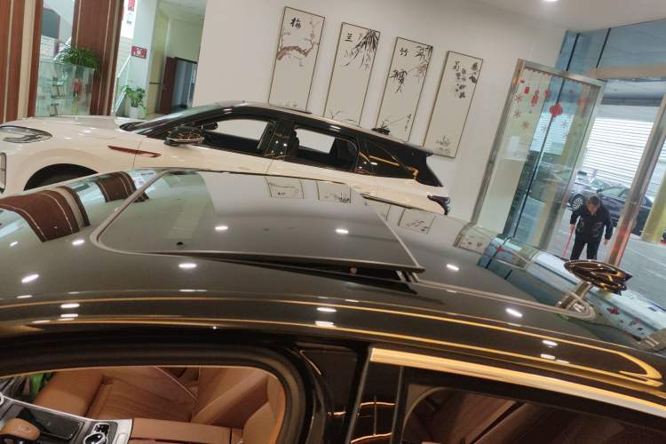 Used Hongqi H9 2023 2.0T Smart Connect Flagship Edition
