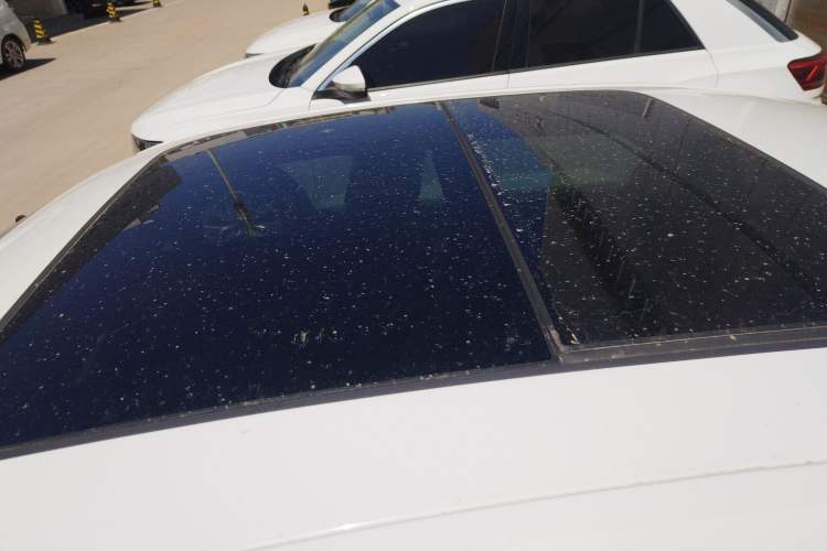 Used Volkswagen Sagitar 2023 300TSI DSG Excellence Edition