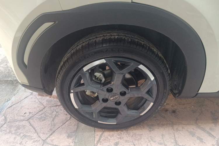 Used BYD Seagull 2025 305 km Free Version Exterior 5