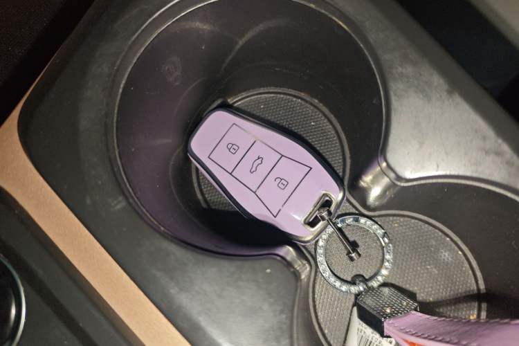 Used SOL E10X 2022 Flower Fairy Design Four-Leaf Clover Vehicle Key