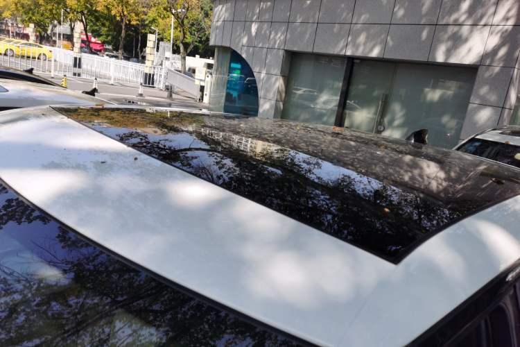 Used Land Rover Range Evoque 2020 249 PS R-DYNAMIC S Sport Edition
