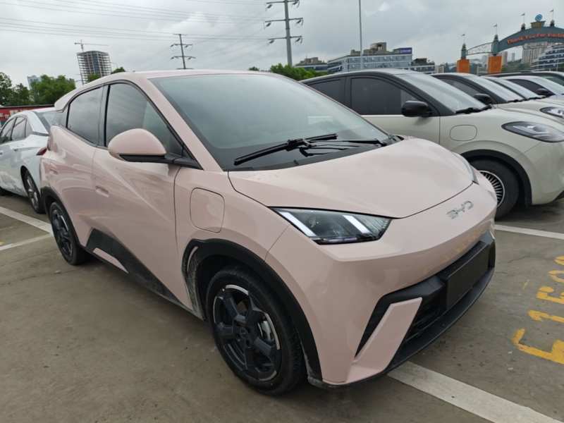 Used BYD Seagull 2024 Honor Edition 305km Freedom Version — 3