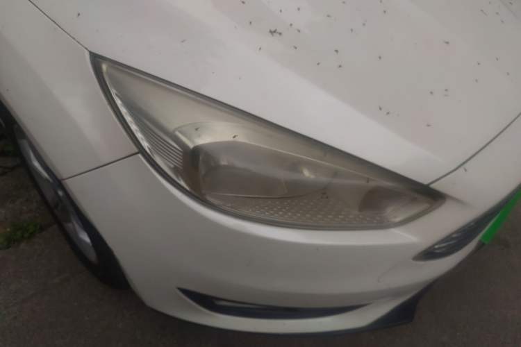 Used Ford Focus 2015 Sedan 1.6L Automatic Comfort Model
