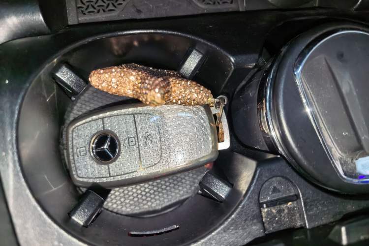 Used Mercedes-Benz E-Class New Energy 2023 E 350 e L Plug-in Hybrid Sedan Interior 1