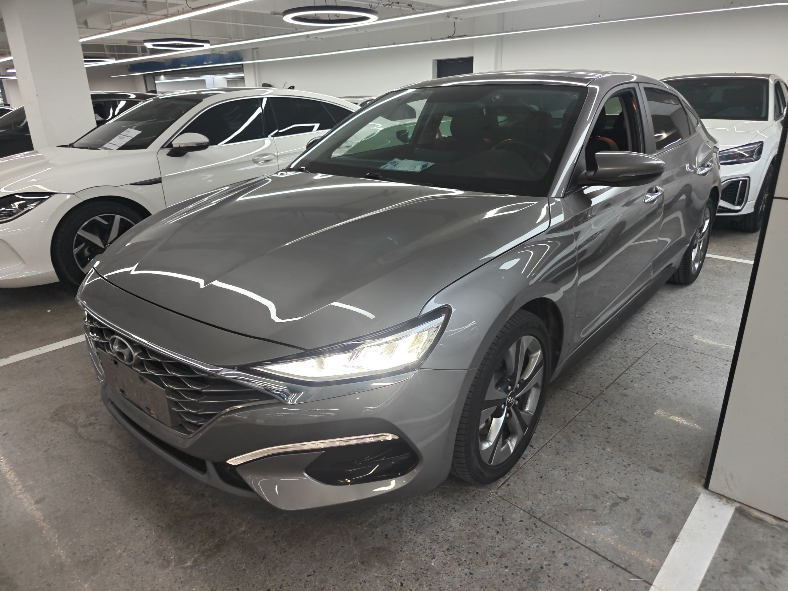 Parte inferior delantera