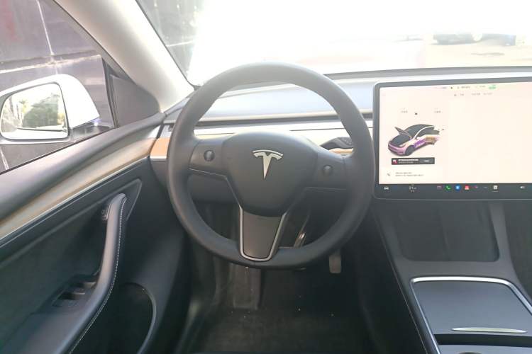 Used Tesla Model Y 2021 Standard Range Rear-Wheel Drive Version
