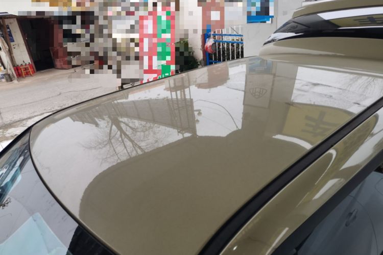 Used Qiyuan Lumin 2023 205km Xiangqin Version