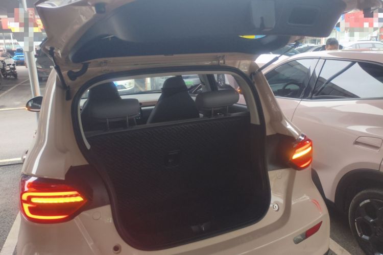 Used Leapmotor T03 2021 400 Micro-Sugar Version