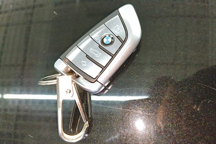 Used BMW 5 Series 2019 530Li Leading Model Luxury Package