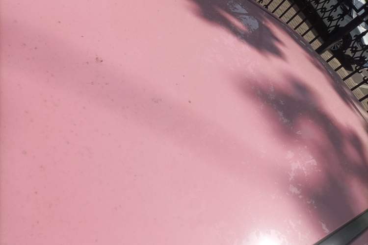 Used NETA V 2021 Witch Edition