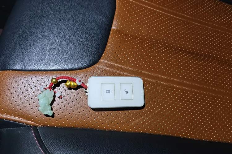 Used BYD Qin New Energy 2015 1.5T Dual-Crown Flagship Plus Edition
