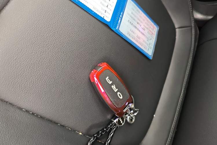 Used ORA Black Cat 2021 351 km Standard Version