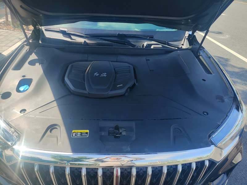 Used Hongqi HS5 2022 Revised Version 2.0T Smart Connect Flagship Edition — 19