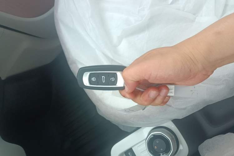 Used Geely Galaxy Panda 2025 210 km – Yuanqi Bear
