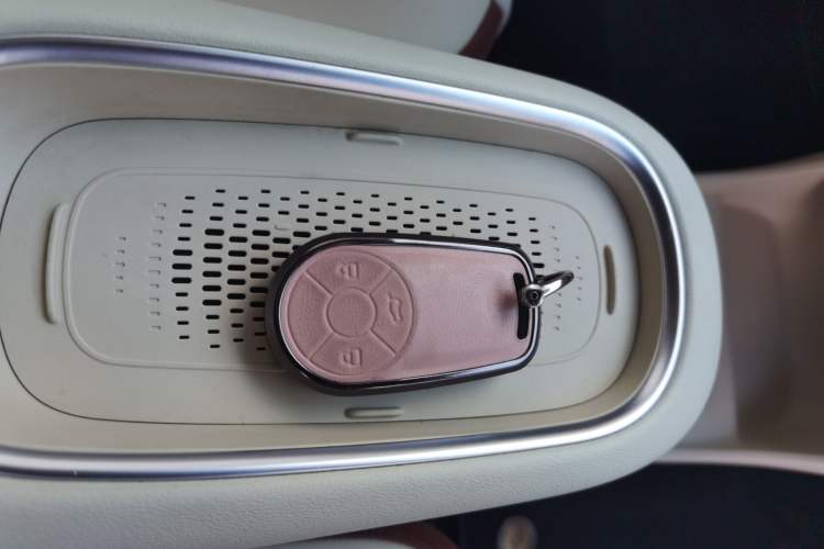 Used ORA Good Cat 2023 401 km Standard Range Luxury Version Lithium Iron Phosphate
