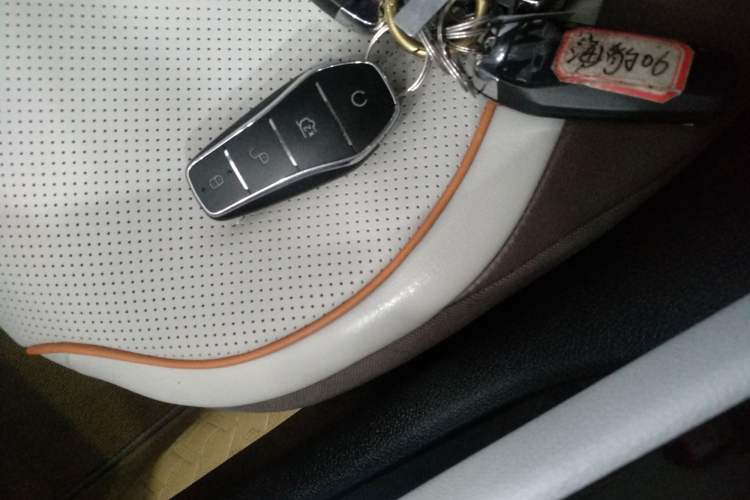 Used BYD Qin PLUS 2025 EV Smart Drive Edition 510KM Leading Model