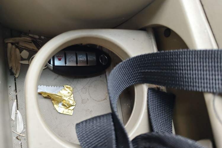 Used Nissan Sylphy 2008 2.0XL Luxury Edition
