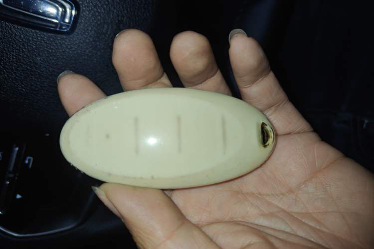 Used Bestune T55 2023 1.5T Automatic Leap Model