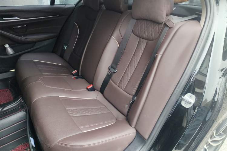 Used BMW 5 Series 2021 530Li Leading Luxury Package