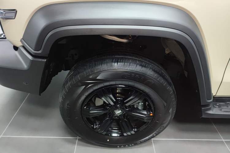 Used Tank 300 2025 2.0T Conqueror