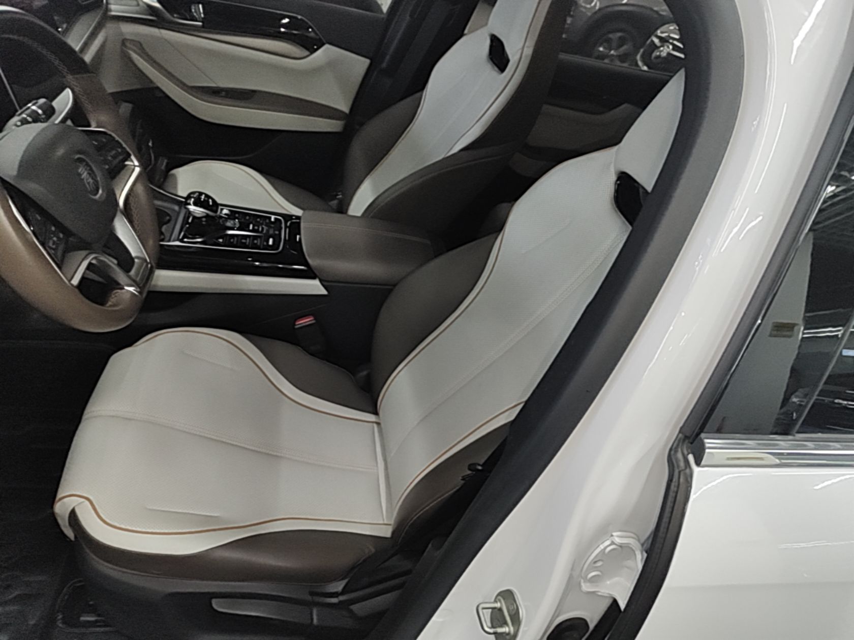 BYD Qin PLUS 2023 Champion Edition EV 510KM Leading Model — снимка 17