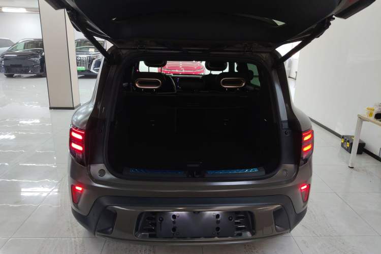 Used smart #5 2024 Jungle Realm Limited Edition