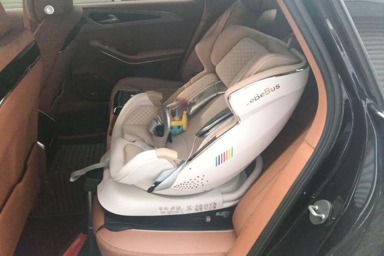 Used Hongqi H9 2020 2.0T Smart Connect Flagship Edition Left Rear Seat