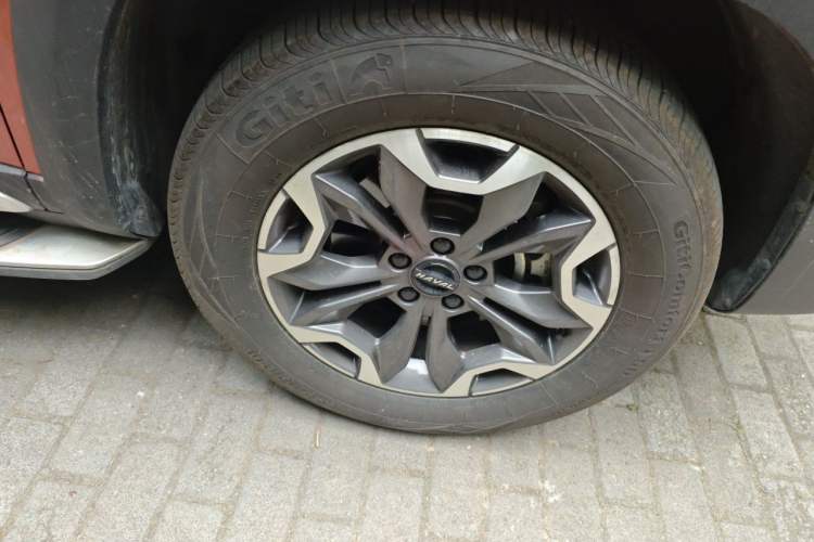 Used Haval DARGO 2021 2.0T DCT 4x4 Chinese Rural Dog Edition
