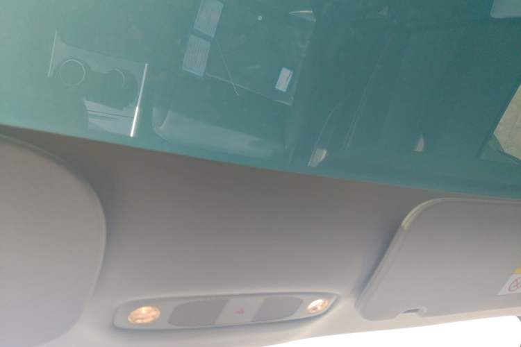 Used Tesla Model 3 2022 Rear-Wheel-Drive Version Headliner