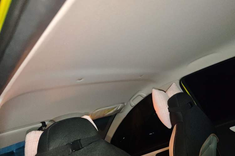 Used SOL E10X 2022 Flower Fairy Design Four-Leaf Clover