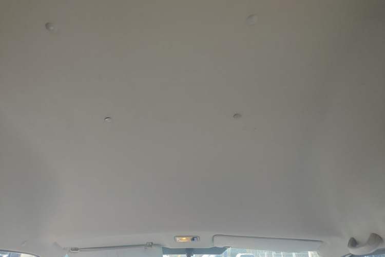 Used Foton Scenic G7  Headliner