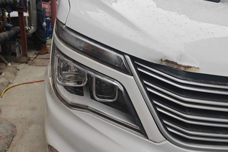 Used FORTHING Lingzhi 2017 M5 1.6L Standard Model