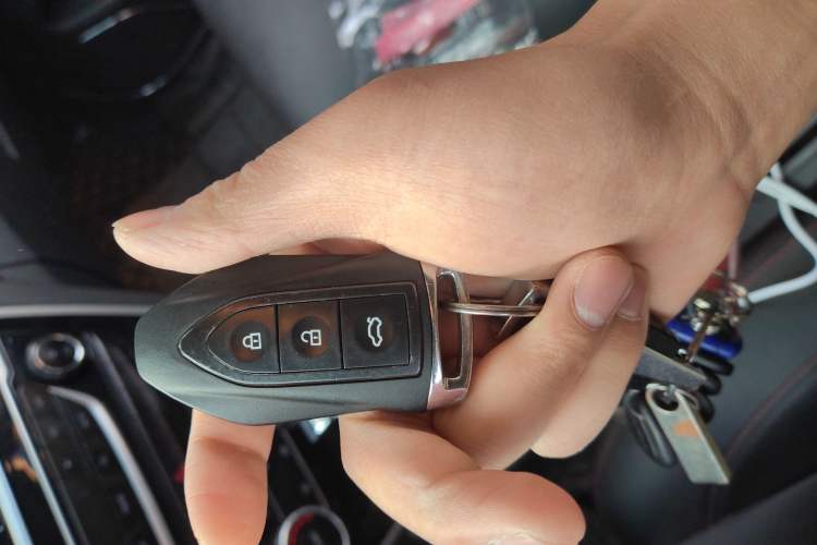 Used Leopaard CS10 2016 2.0T Automatic Luxury Version