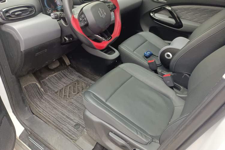 Used Leapmotor T03 2020 400 Luxury Edition Left Front Seat