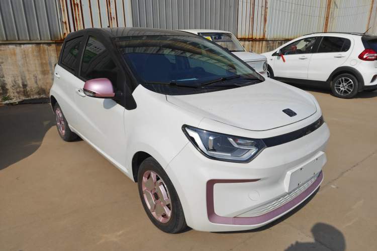 Used SOL E10X 2022 Flower Fairy Design Sunflower