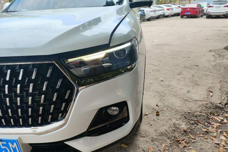 Used Haval H6 2023 National Trend Edition 1.5T Automatic Urban Version