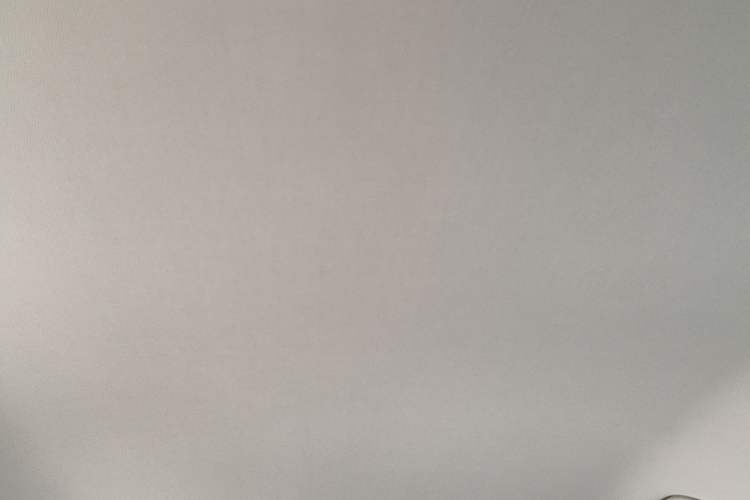 Used Livan Maple 30X 2020 Style Edition
