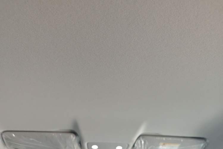 Used Leapmotor T03 2025 310 Comfort Edition Headliner