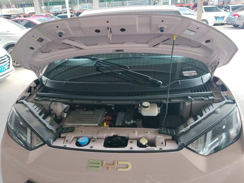 Used BYD Seagull 2025 305km Active Version — 19