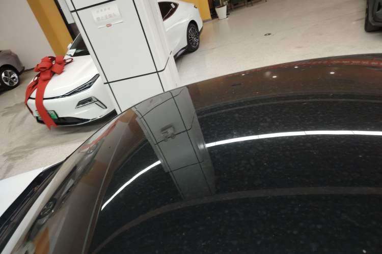 Used XPeng P7 2020 670N Roof