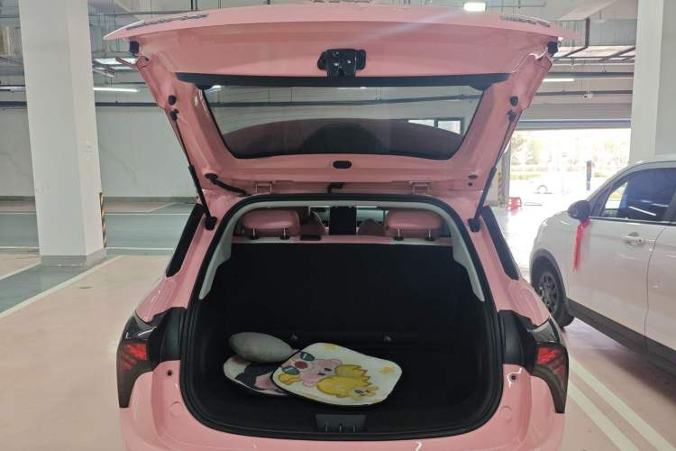 Used NETA V 2021 Witch Edition
