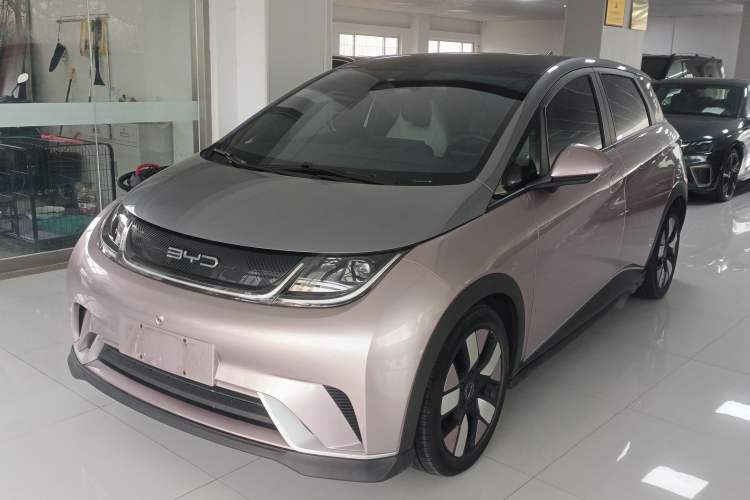 Used BYD Dolphin 2021 401km Knight Edition