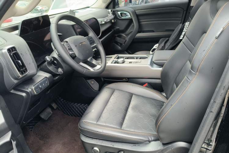 Used Haval DARGO 2024 2.0T DCT Chinese Rural Dog Edition
