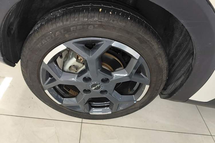 Used BYD Seagull 2025 305 km Free Version