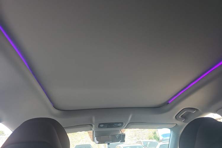 Used Leapmotor C11 2023 Pure Electric 500 Comfort Edition
