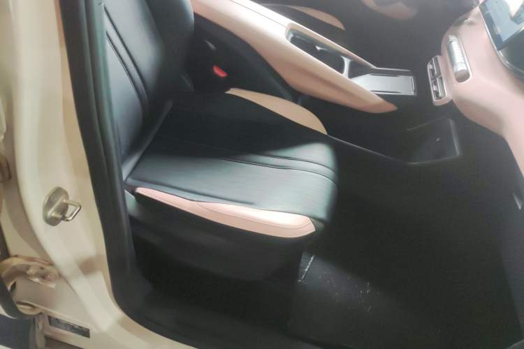 Used BYD Seagull 2024 Honor Edition 305km Freedom Version Right Front Seat