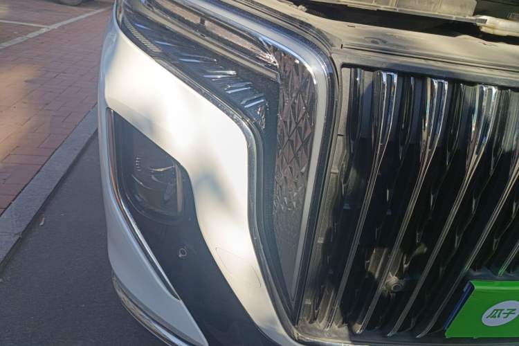 Used Hongqi HQ9 2023 2.0T Smart Connect Flagship Edition
