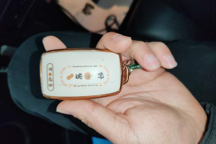 Used Land Rover Discovery Sport 2016 2.0T Limited Edition
